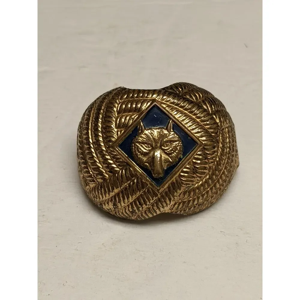 Scouting America cub scouts